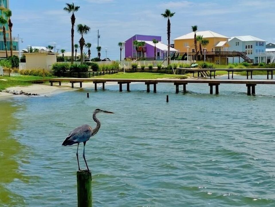 Dock View on Little Lagoon