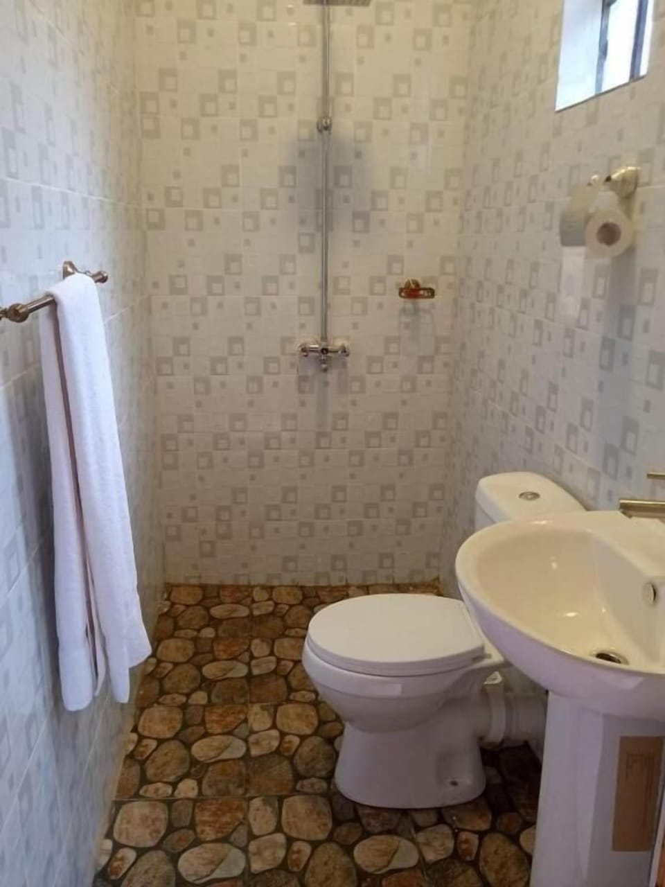 Shower, free toiletries, bidet, towels