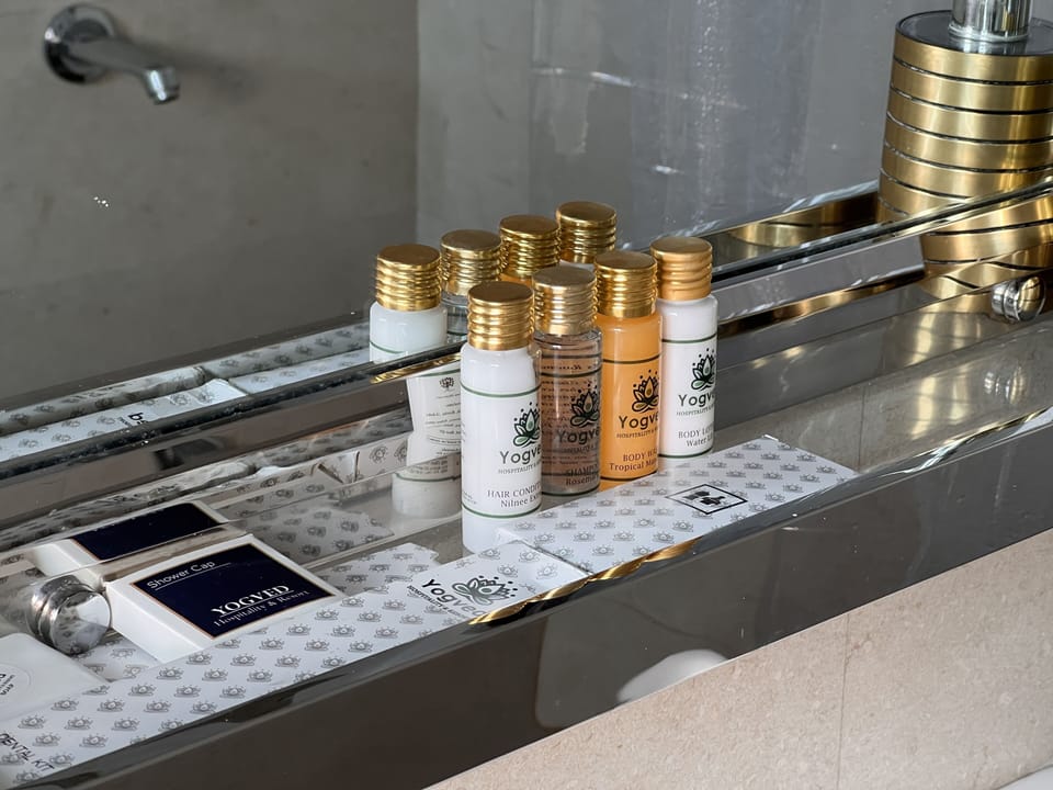 Deluxe Room | Bathroom | Shower, rainfall showerhead, free toiletries, hair dryer