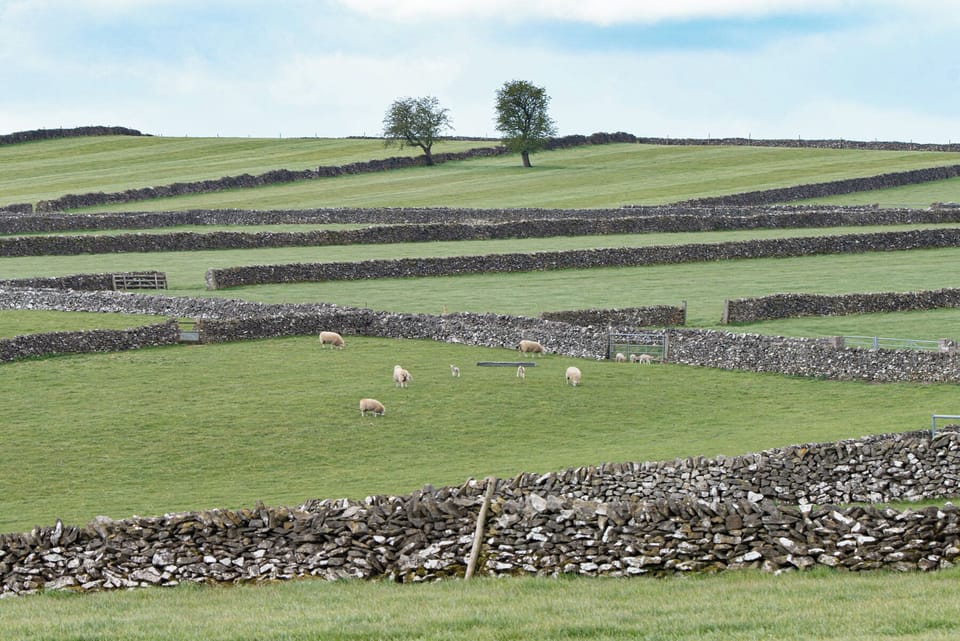 Land view from property