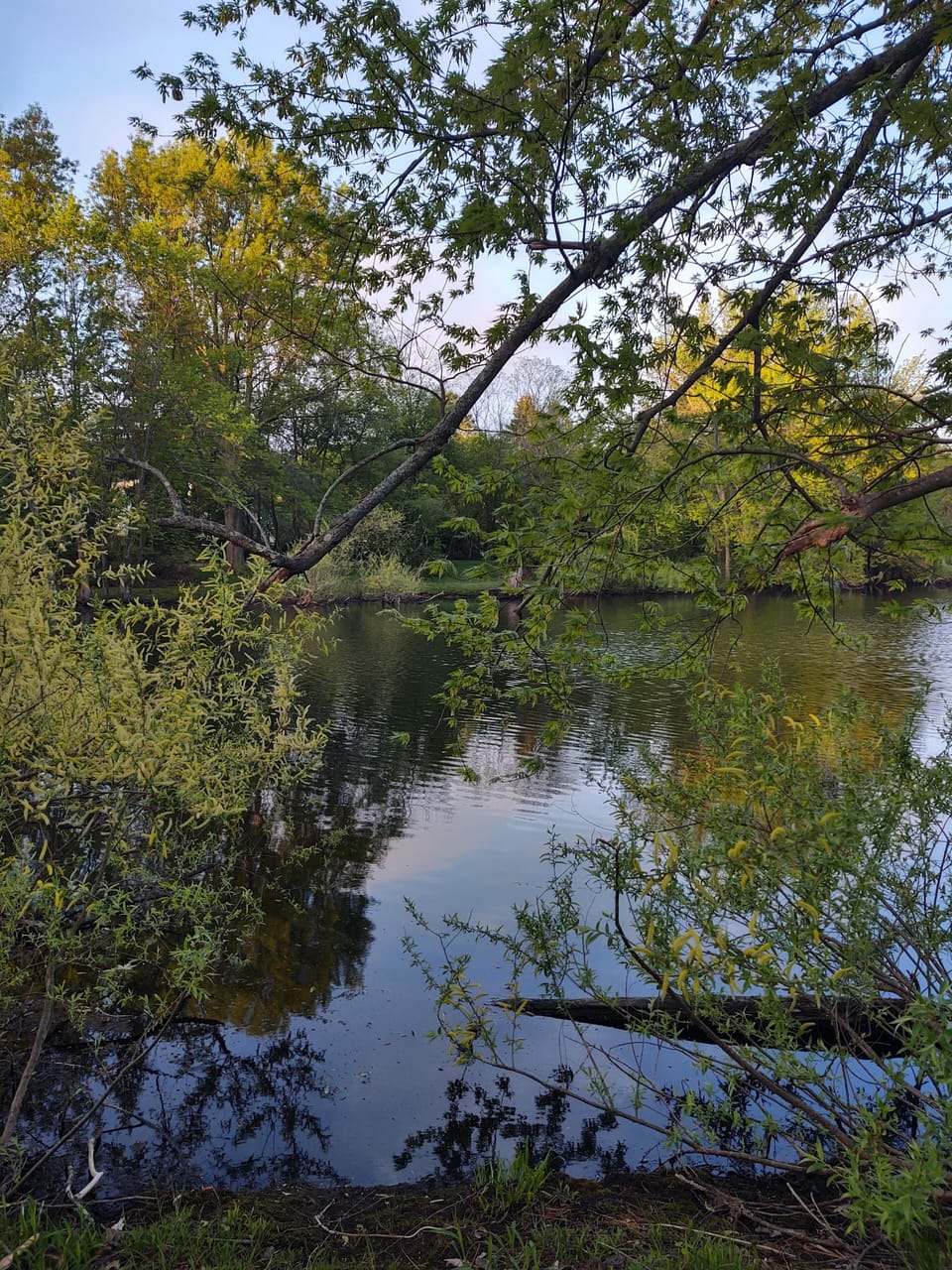 Turners Pond