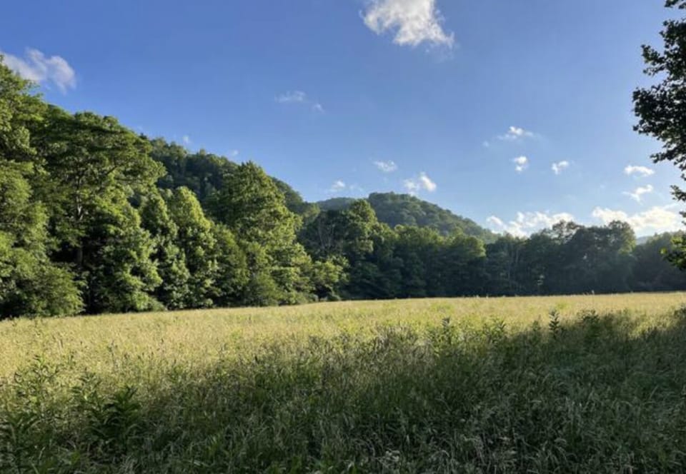 The 12 acre hayfield in front of house