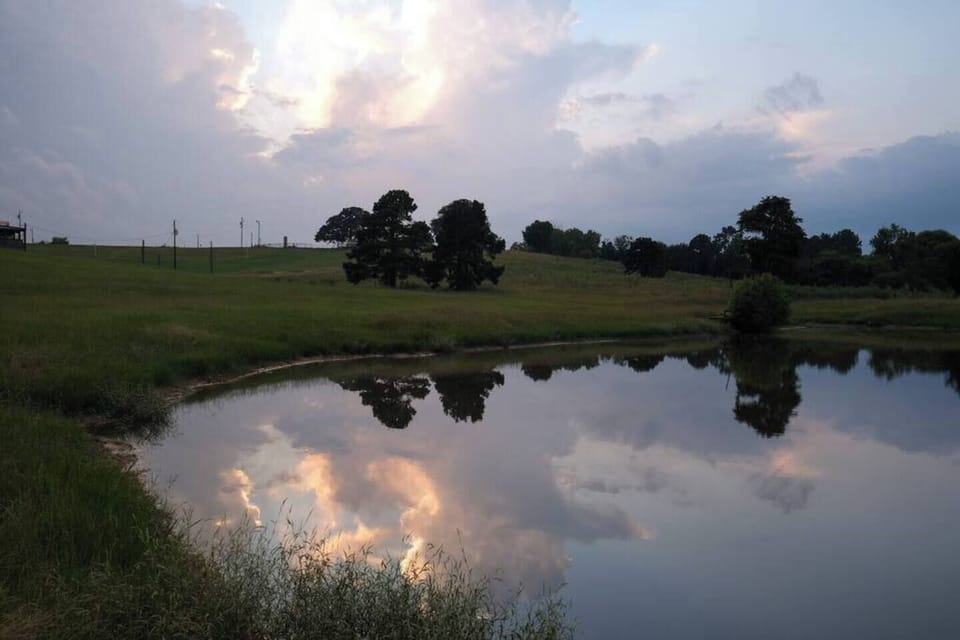 One of our ponds