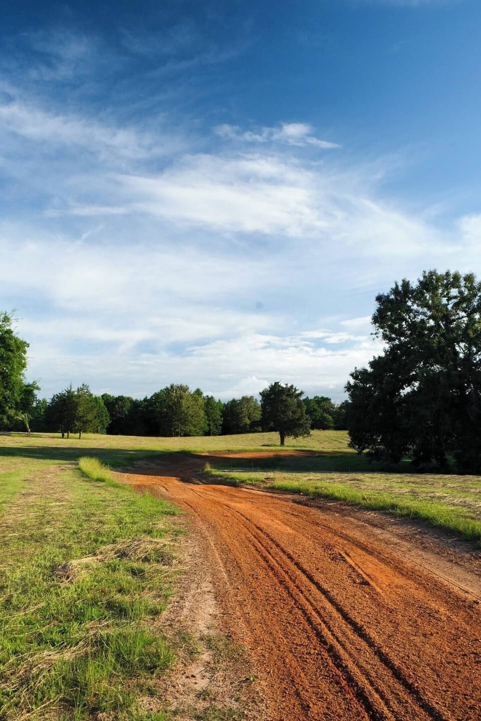 Beautiful Pastures