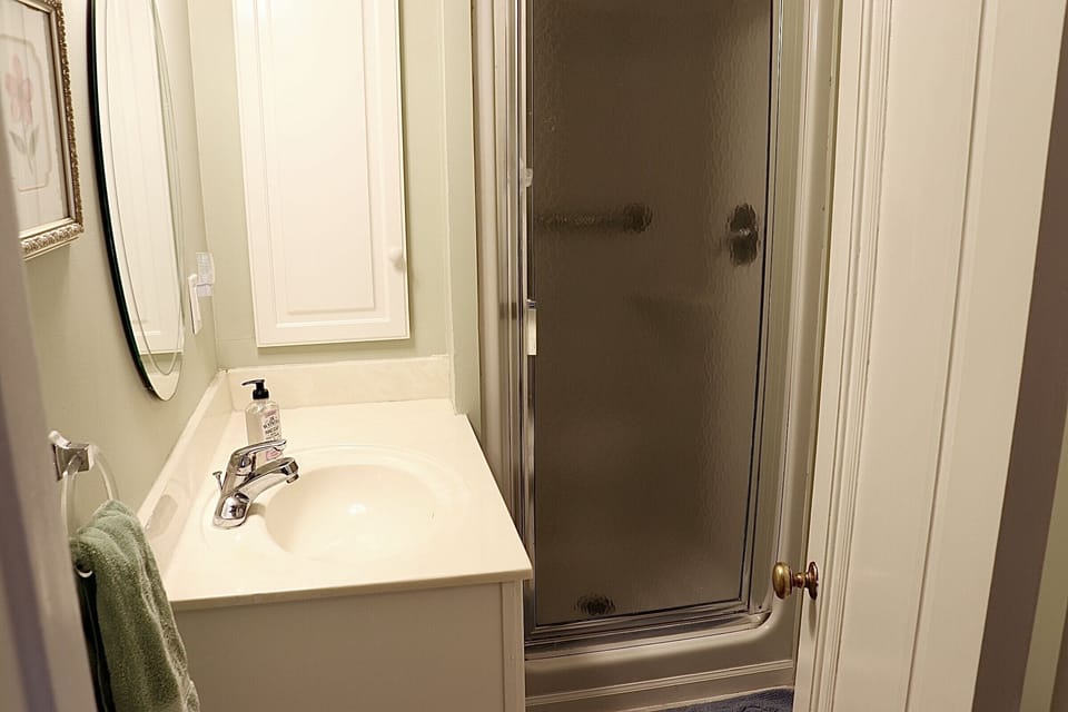 Downstairs bathroom (shower stall, sink, toilet)