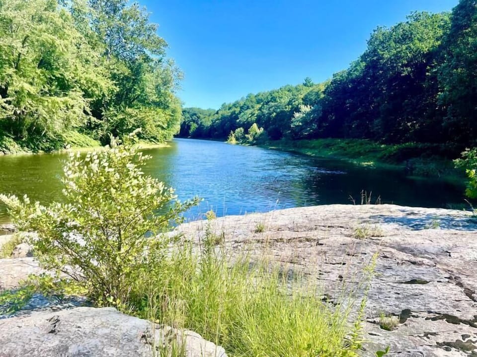 Unique river views (4)