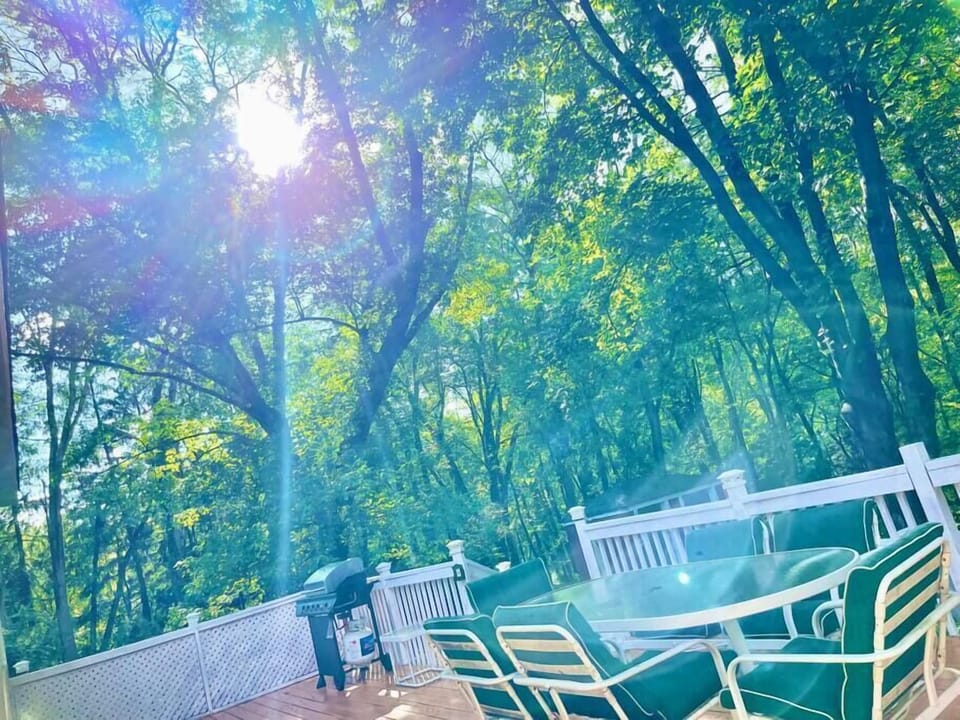 Patio with Scenic view