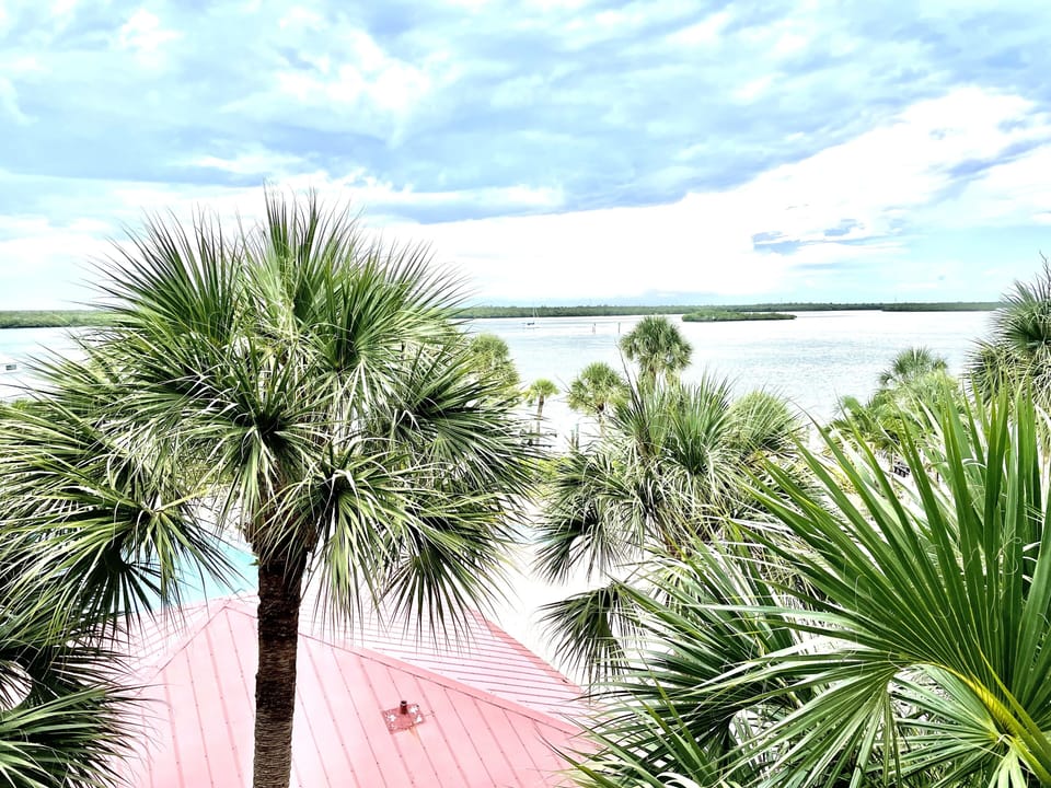 More fabulous photos from the lanai.