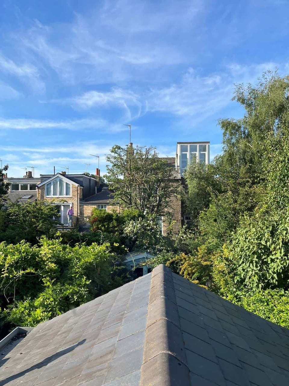 A view of the surrounding neighborhood rooftops nestled among lush, mature trees under a bright blue sky.