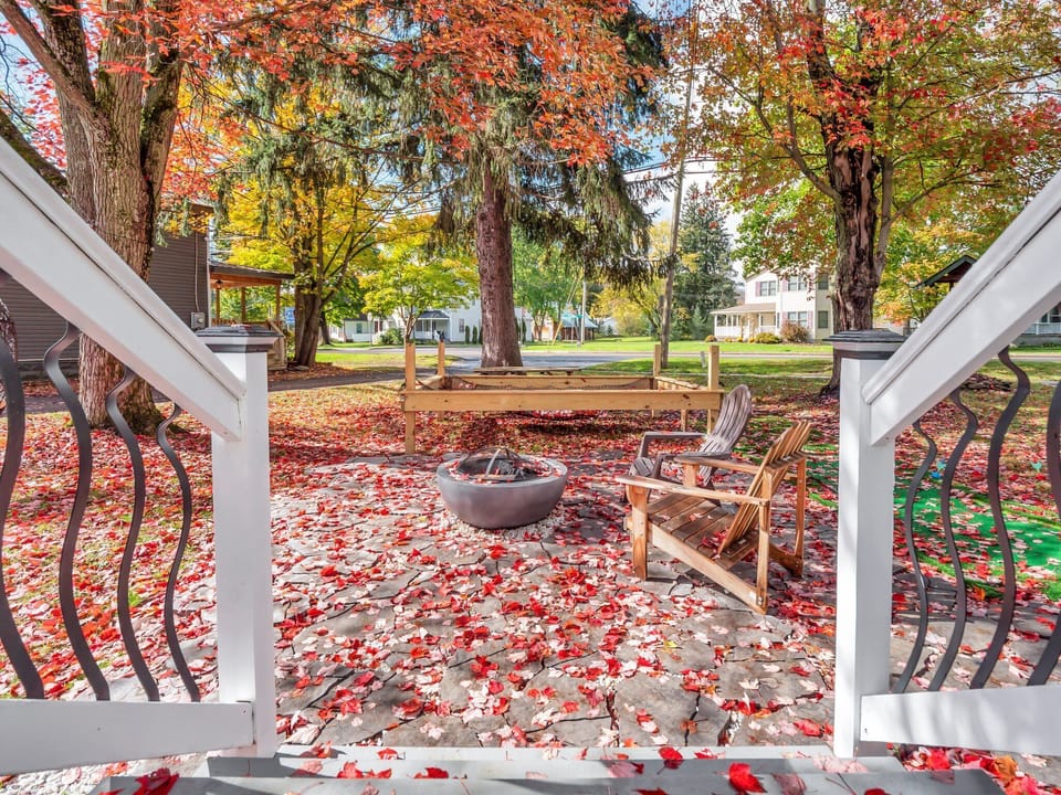 House | Garden view