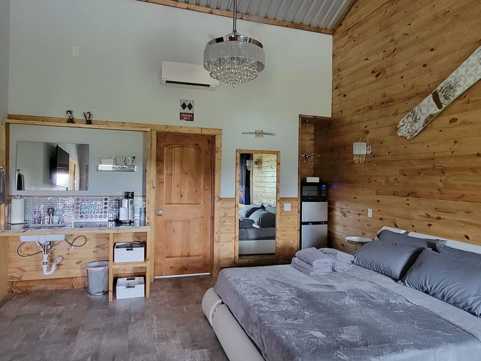 King bed with kitchenette