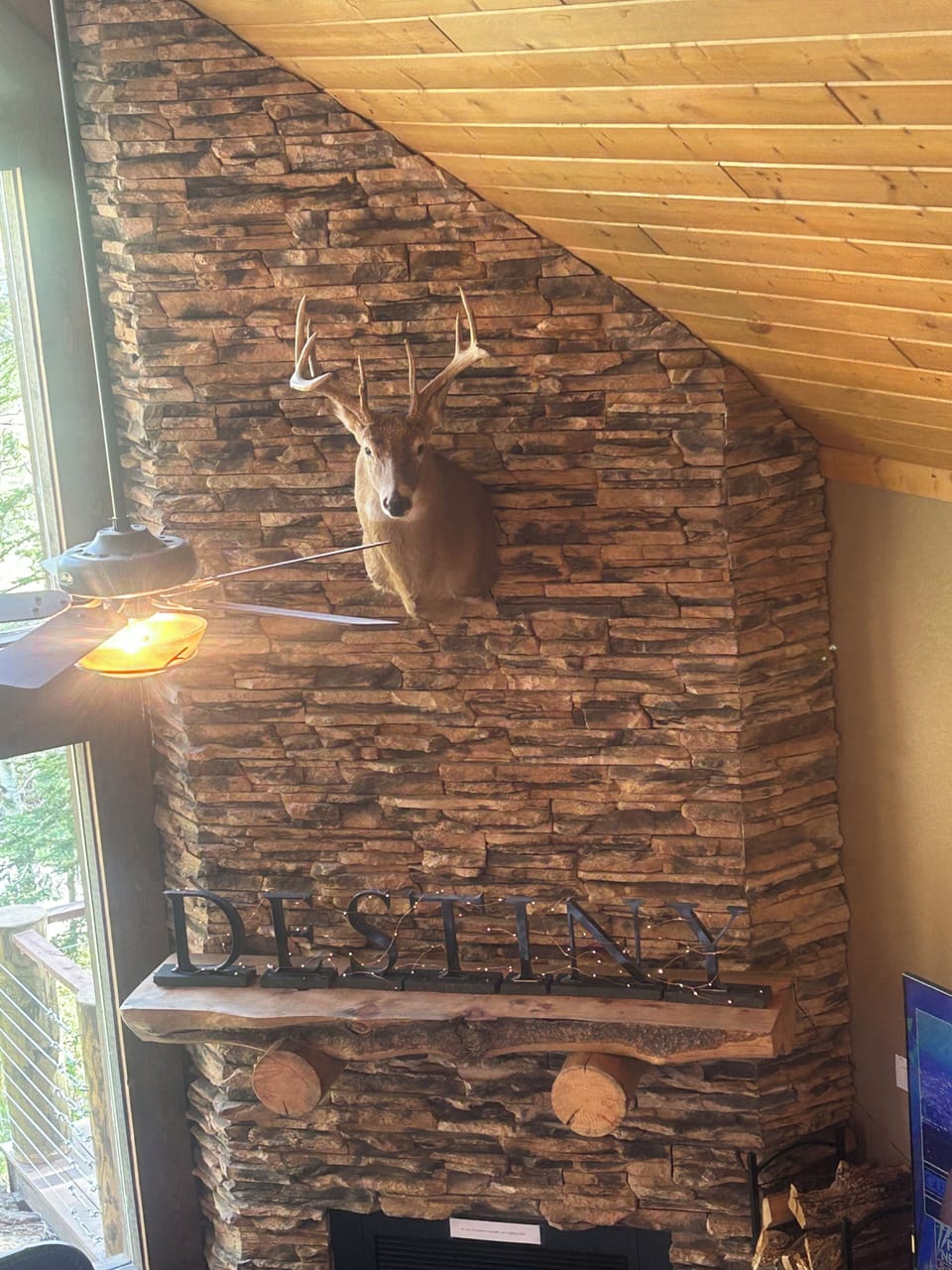 Deer head