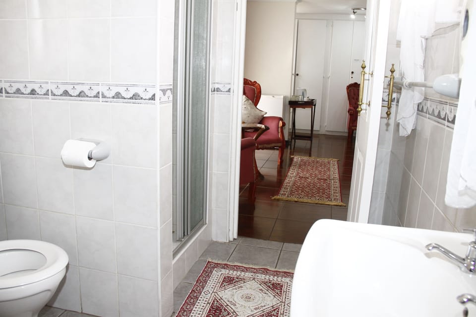 Double Room with bath and shower | Bathroom | Shower, free toiletries, hair dryer (on request), towels