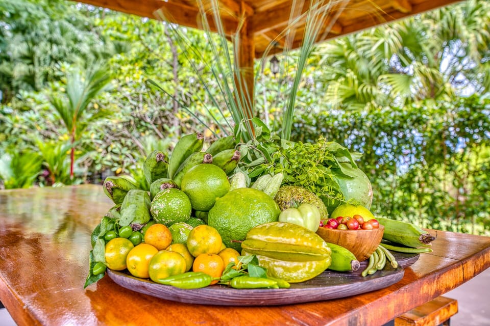Some of our Delicious organic produce, harvested from our fields at the Retreat!