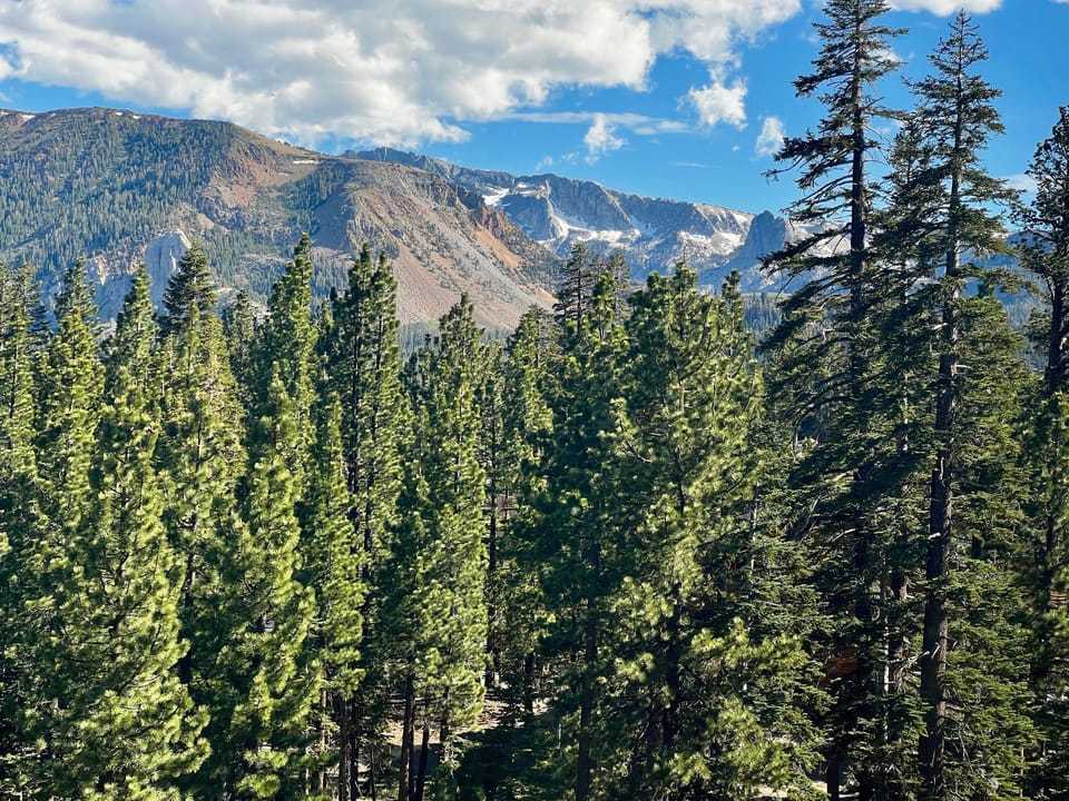 View of Mammoth crest out the window.