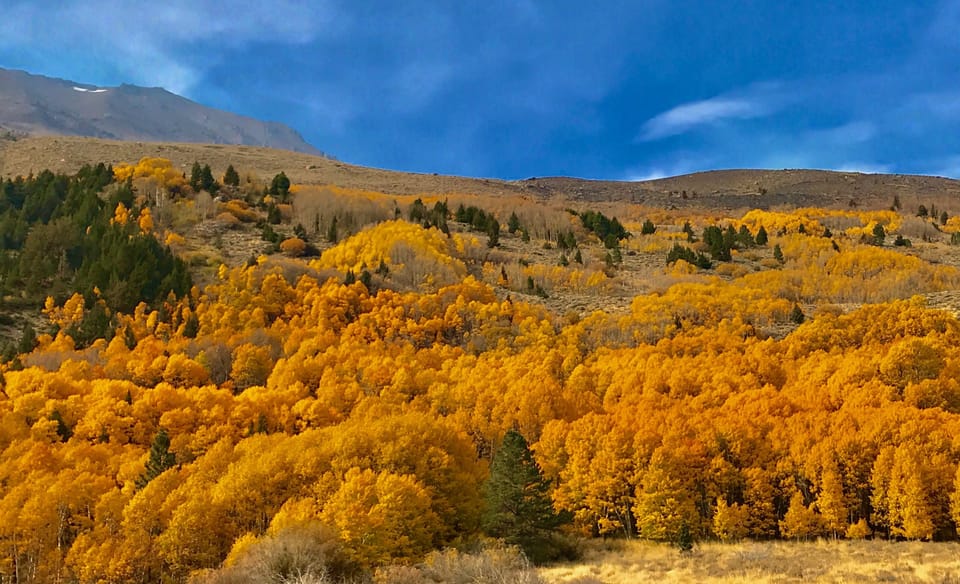 Fall colors