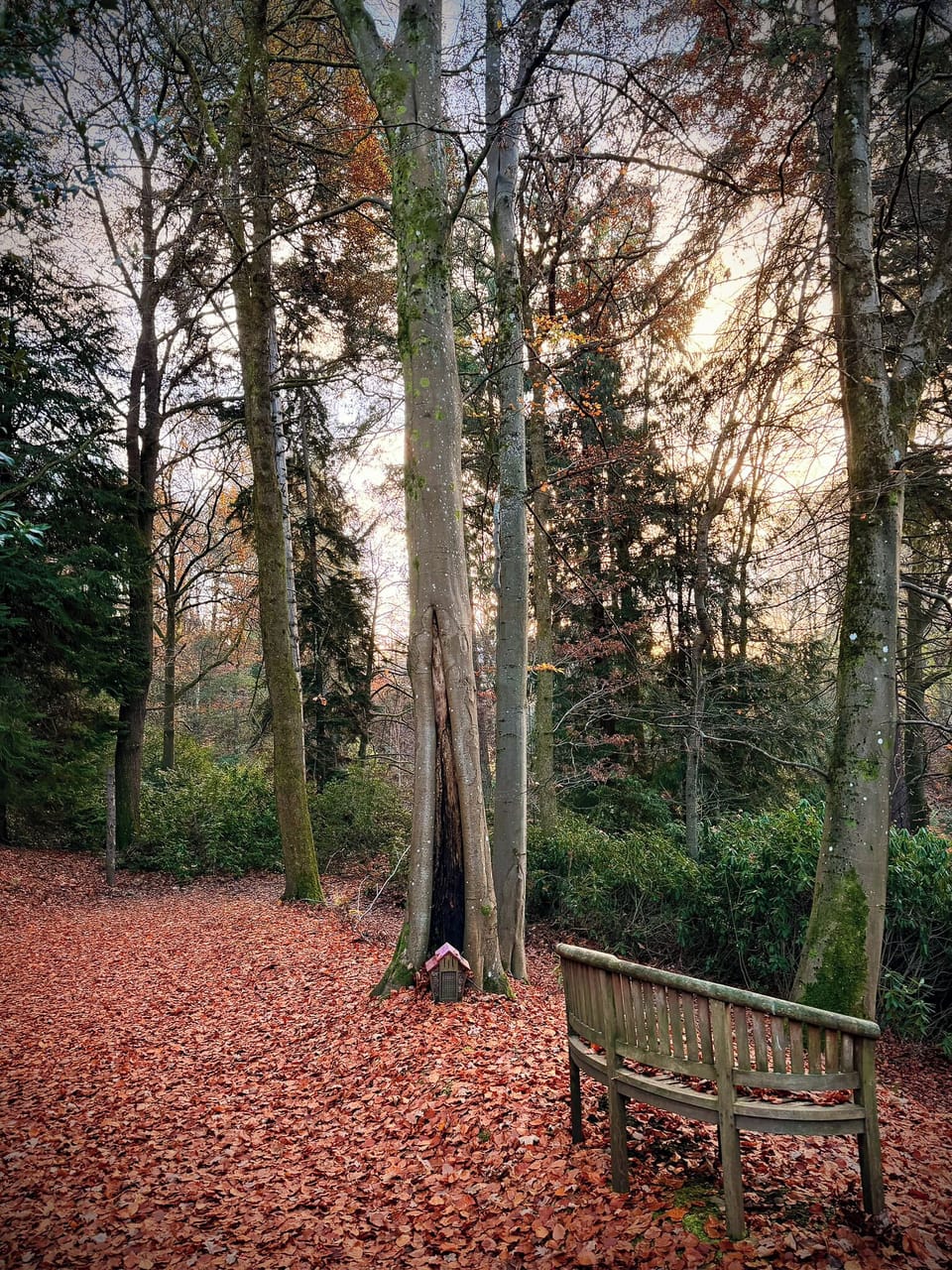 Land view from property