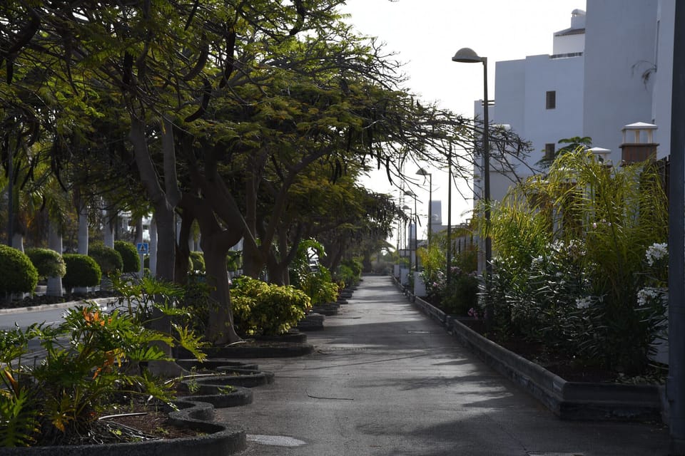 Path