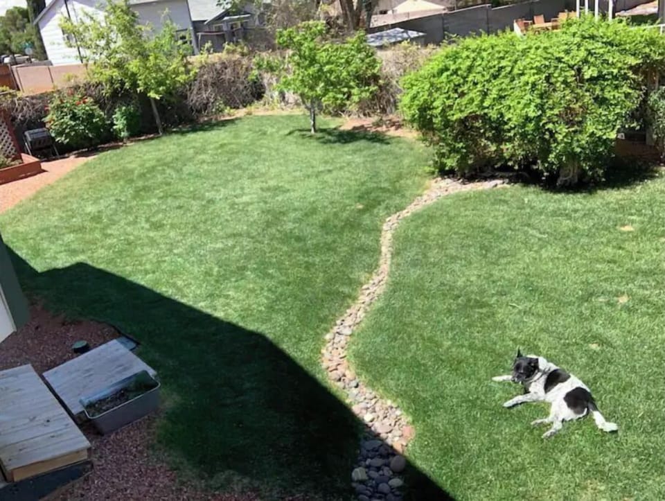 Fully fenced, pet-friendly yard (shared with our two pooches).