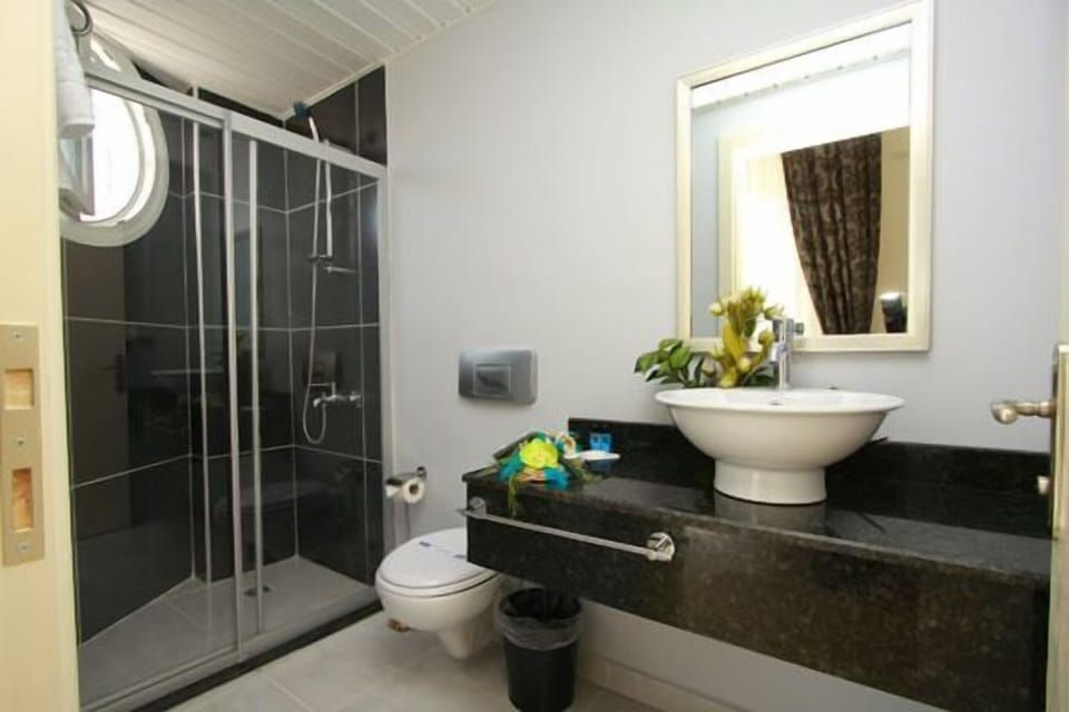 Shower, free toiletries, hair dryer, slippers