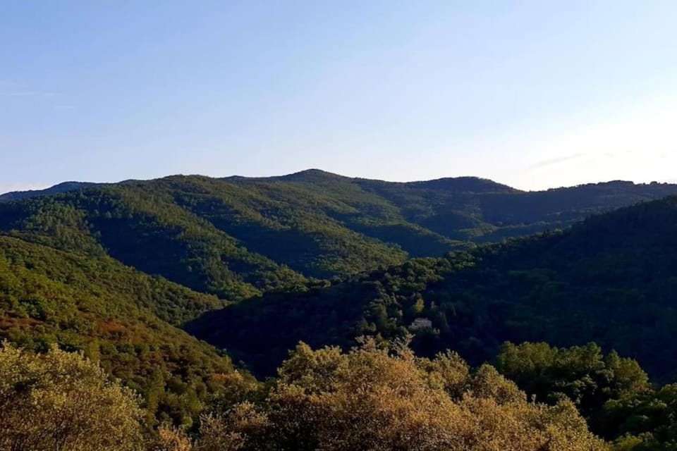 Surroundings [summer] (1-5 km)
