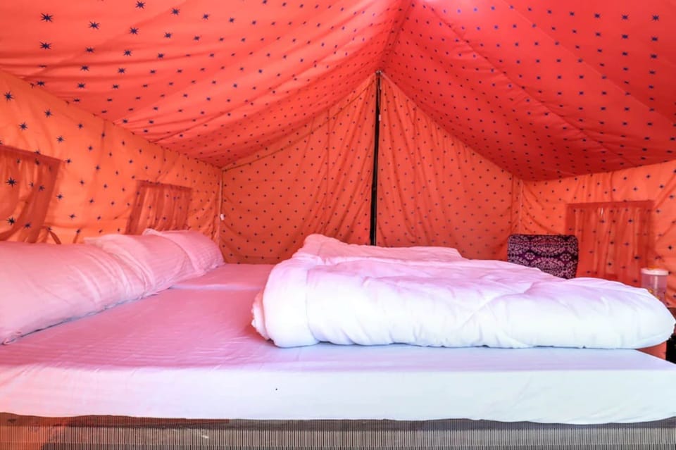 Deluxe Tent | Free WiFi