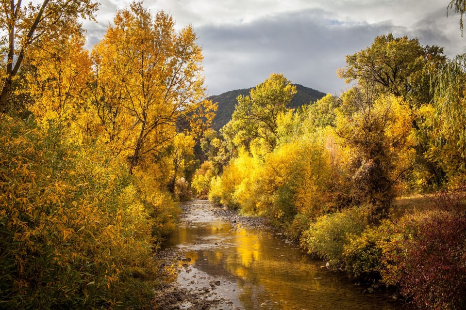 Your walk across the bridge over Main Elk Creek.