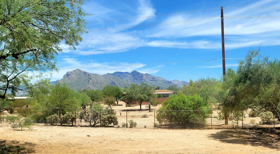 Backyard, view of the Catalina Mountains