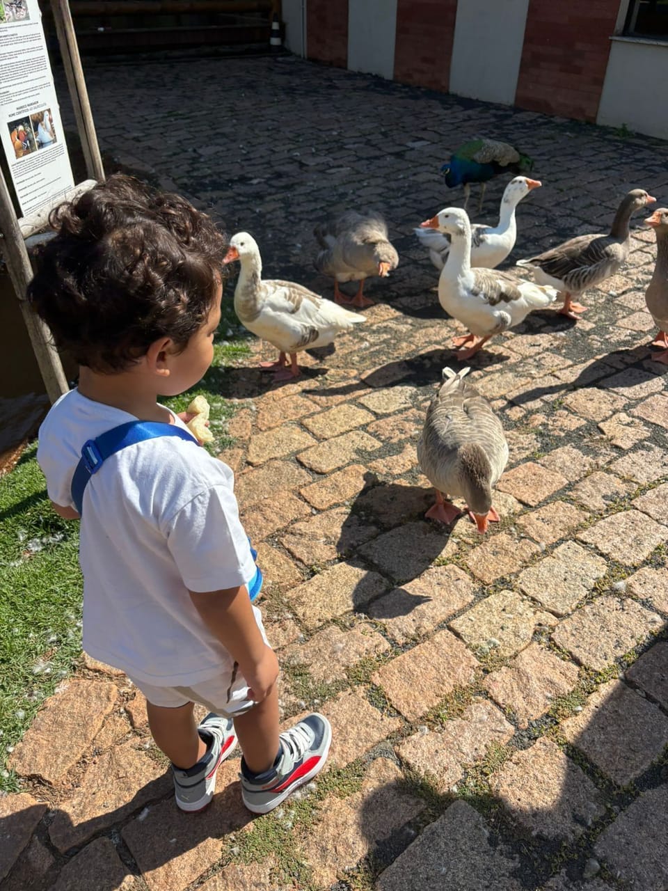 Children's activities