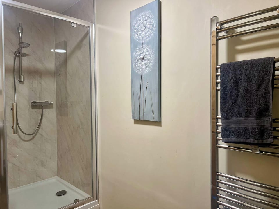 Downstairs shower room with sink and toilet.