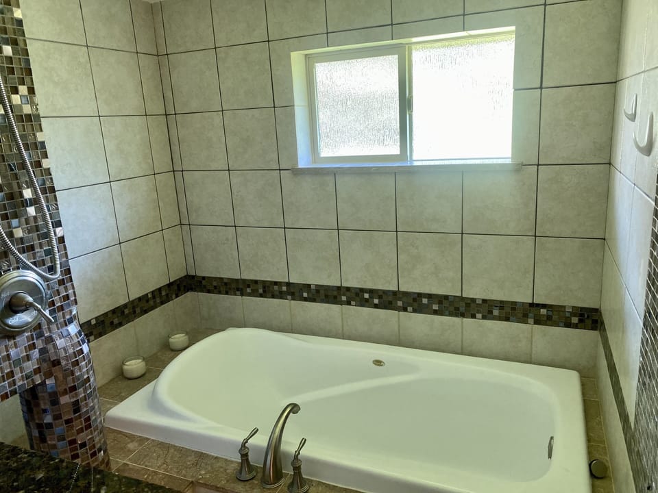 Master bathroom tub