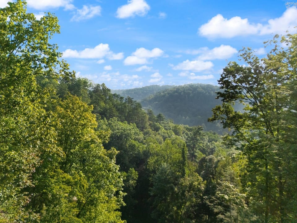 View at Lazy Bear