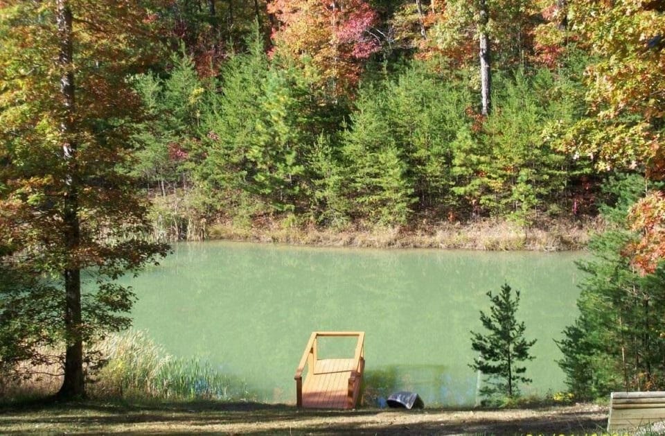 Pond Outside Whippoorwill Cabin