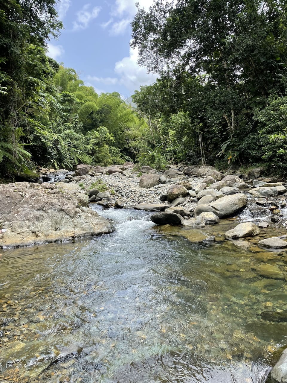 15 minutes from rain forest tours in Rio Grande