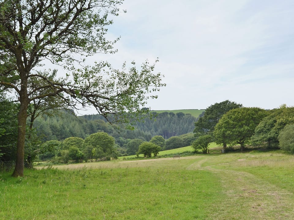 Garden and grounds | Coastal Wood Holidays - Granary Barn, Marros, nr. Amroth