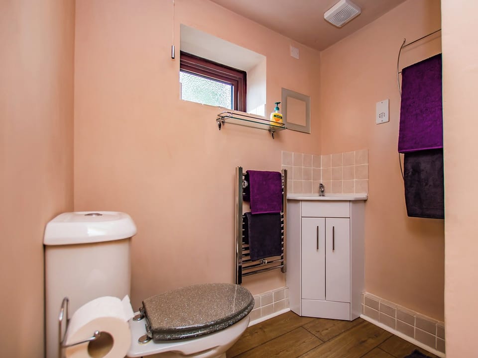 Bathroom | Red Kite Cottage, Maesymeillion, near New Quay