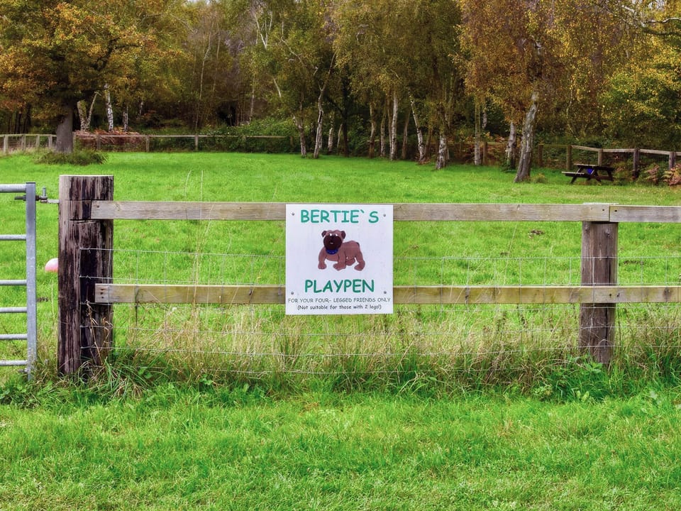 Surrounding area | Oscar Lodge - Birchdale Lodges & Alpaca&rsquo;s, Norton Disney, near Lincoln