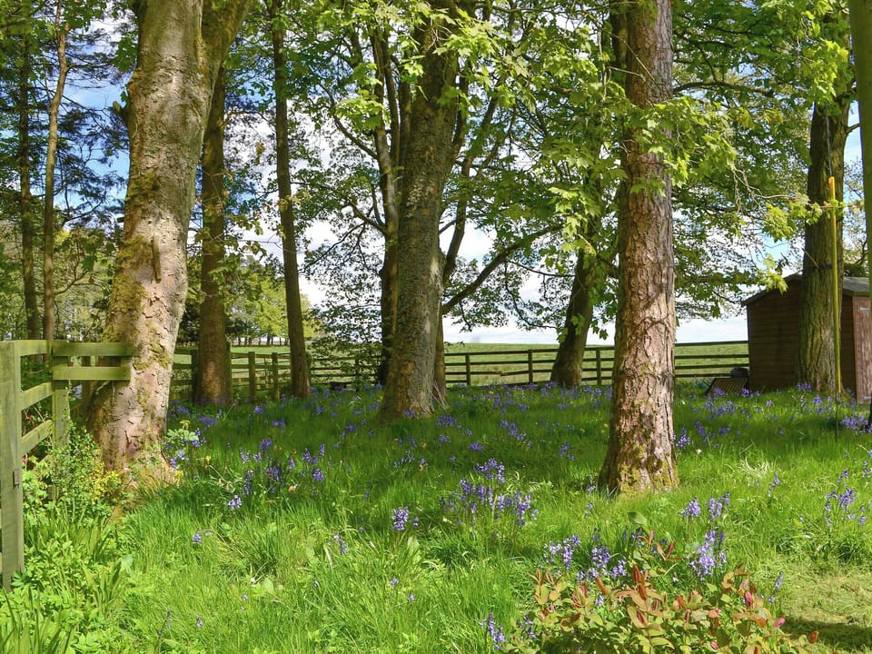 Delightful grounds | Glendale Mews - Glendale, Haltwhistle