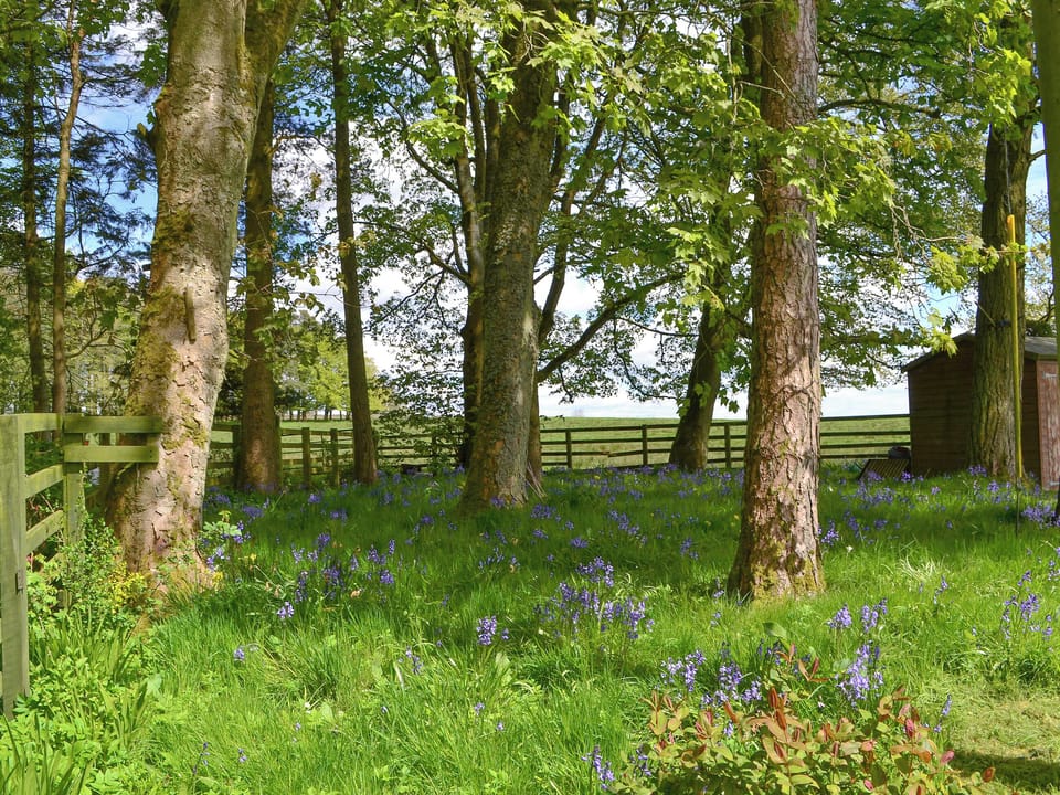 Holiday home in peaceful location | Glendale Mews - Glendale, Haltwhistle