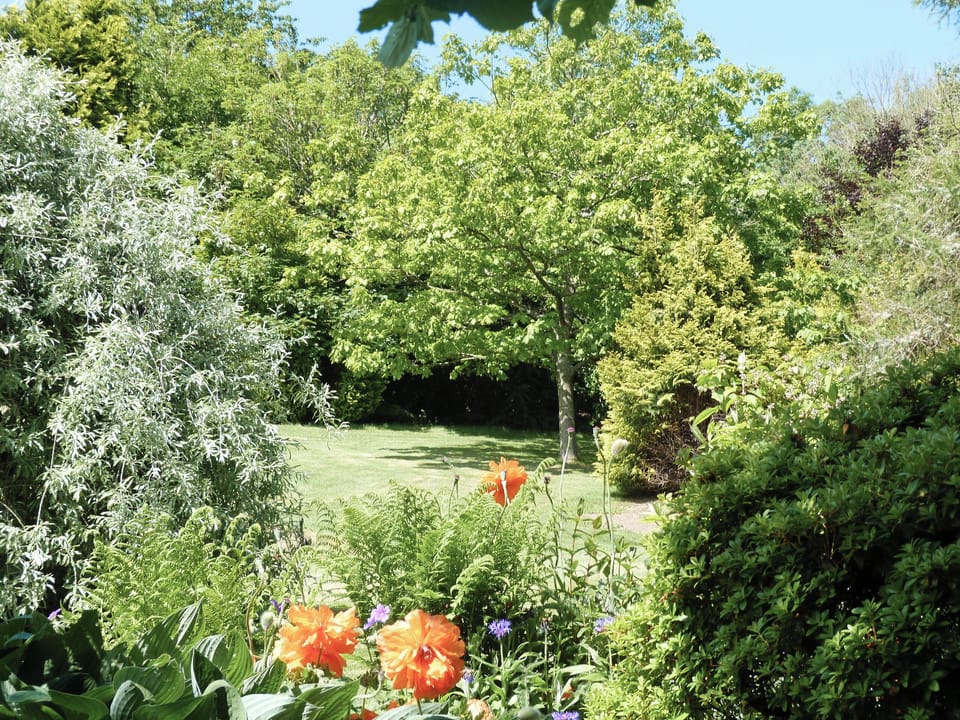 Garden | Triscombe Farm Country Cottages - Rose Cottage, Wheddon Cross, Exmoor