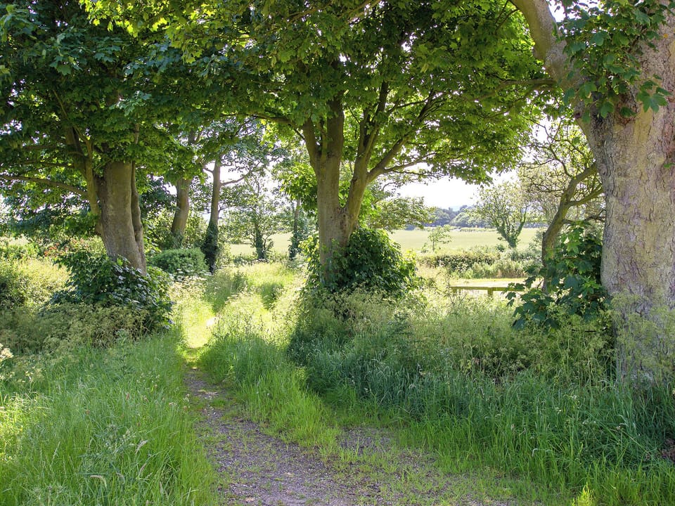 Surrounding area | Scalby Lodge - Lodge Cottage, Scalby