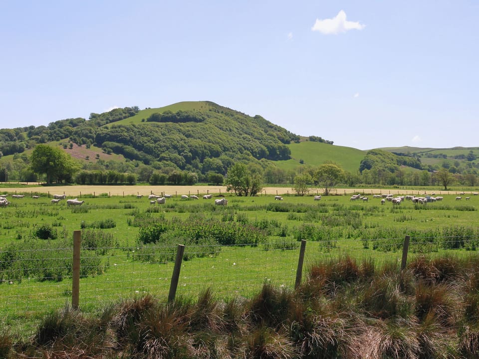 Surrounding area | Bwthyn Derwen - Dolyrychain, Ystrad Meurig