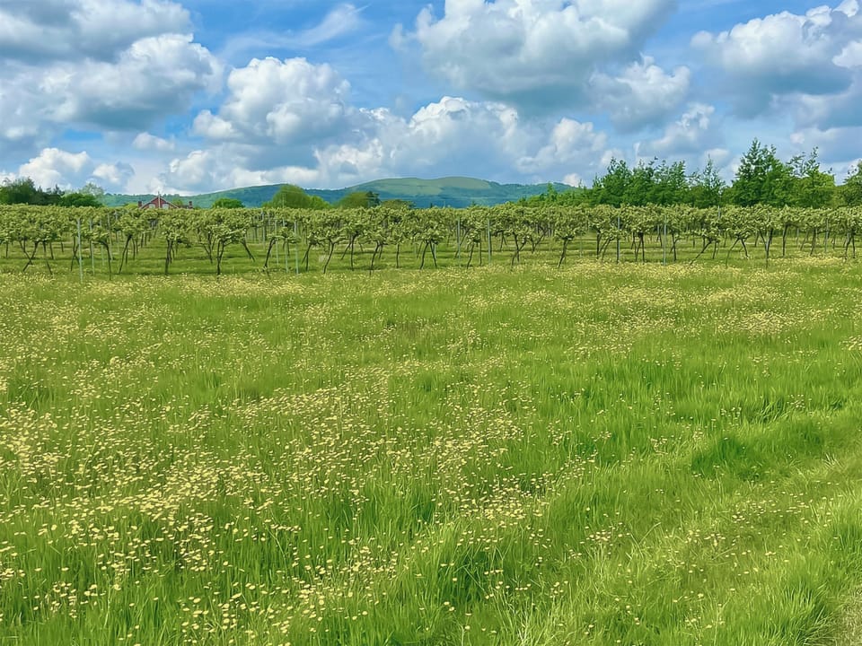 Surrounding area | Lovells Barn, Welland, near Malvern