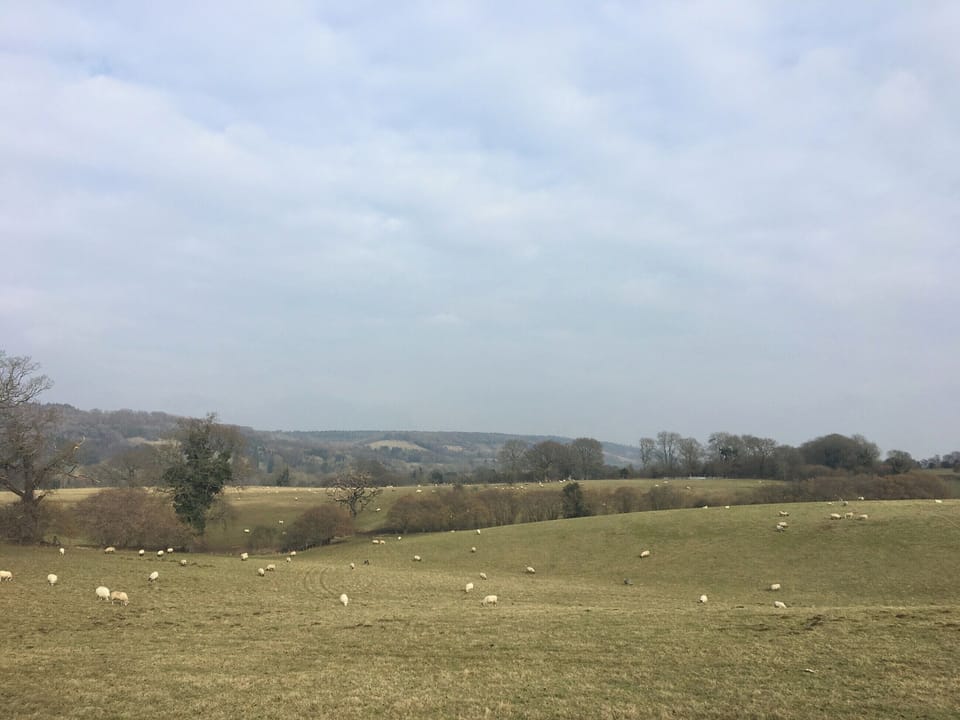 Surrounding area | Tor Hatch Cottage, Guildford