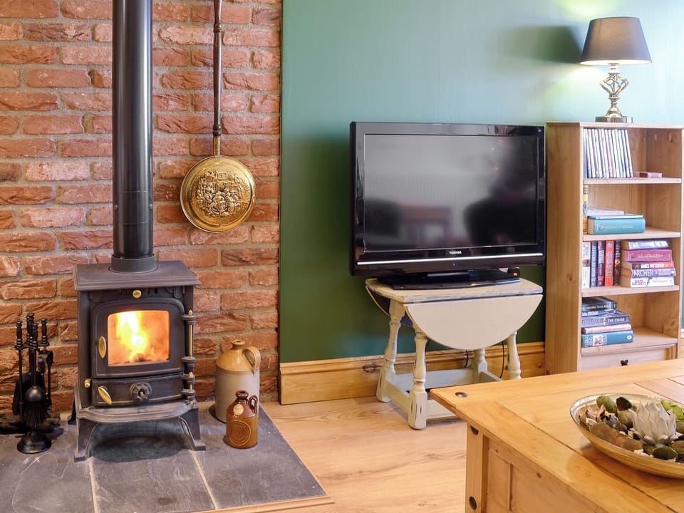 Warm and cosy wood burner | Reed Lodge - Wood Fen Lodges, Little Downham, near Ely