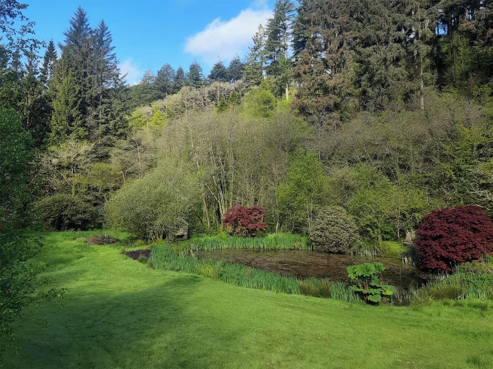 Surrounding area | Ladyvale Barn, Cardinham, near Bodmin