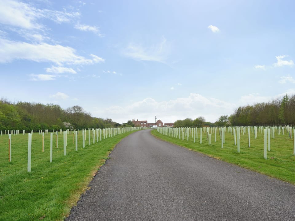Sweeping driveway | Struncheon Hill Farm, Brandesburton, near Bridlington
