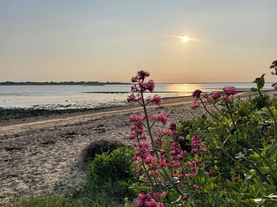 View | Point Clear View, Point Clear, near Clacton-on-Sea