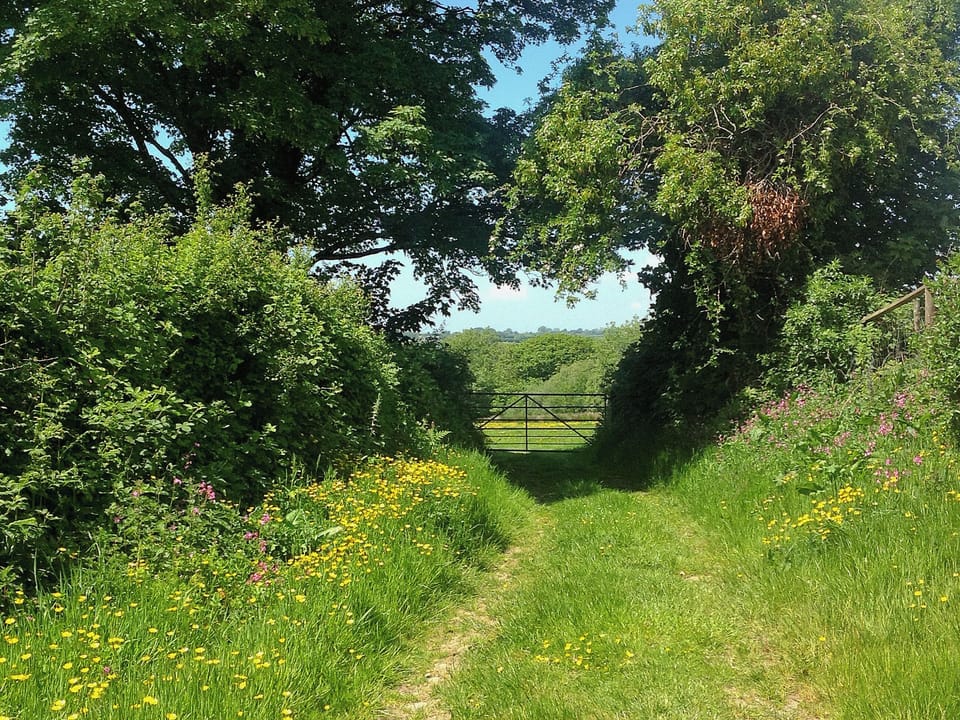 Surrounding area | Coastal Wood Holidays - The Nook, Marros, nr. Amroth