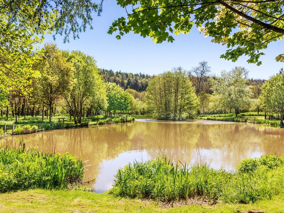 Double bedroom | Old Dairy - Park Mill Farm, Chulmleigh